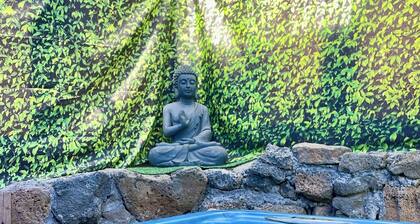 Maison atypique dans le Sud Sauvage dela Réunion