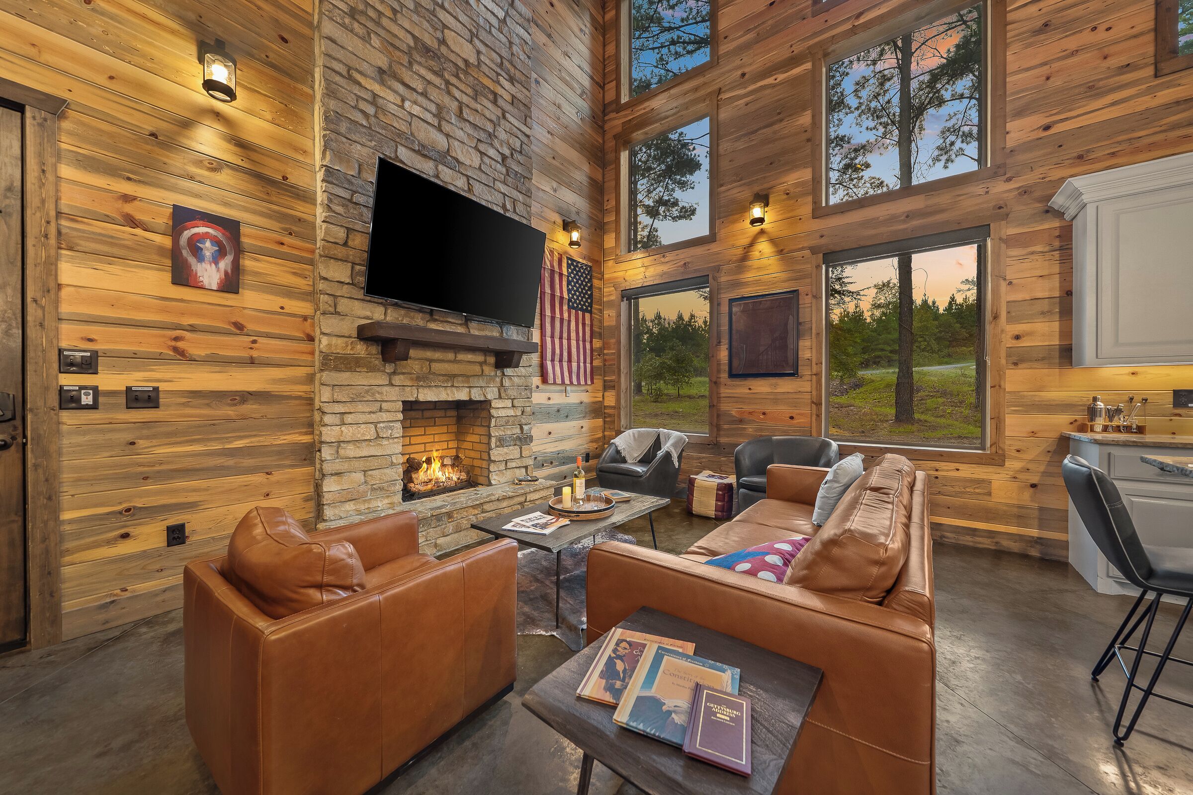 Smart TV, fireplace, video games, books