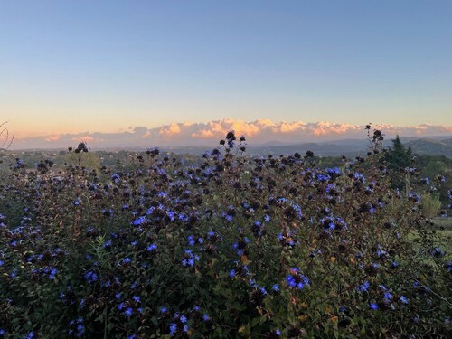 Piedmont: A getaway with panoramic views at an UNESCO World Heritage Site!