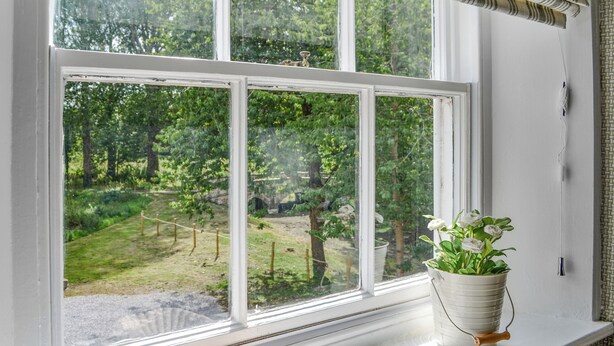 A window with a view of a green landscape, a potted plant, and a decorative shell.
