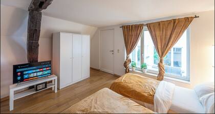 Luminous Suite In Brussels - Elegant Design