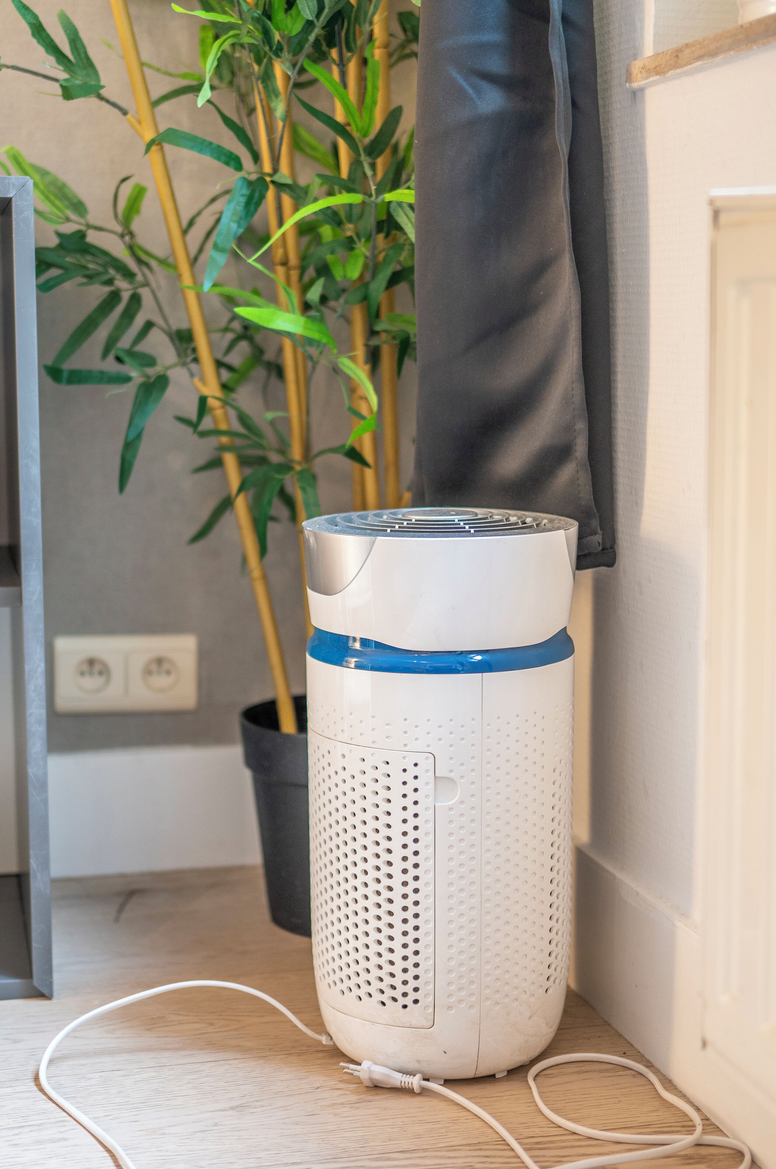 Un haut-parleur portable blanc, orné d’une bande bleue, est posé sur un plancher en bois, à côté d’une plante en pot et d’un rideau.