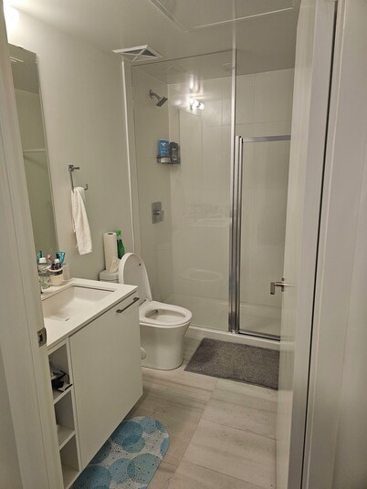 Spacious Master Ensuite Room w King Size Bed, Hi-Speed Wifi, A/C, Fan & Dresser