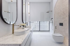 Shower, hair dryer, bidet, towels