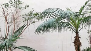 A potted plant arrangement in a courtyard with a wall-mounted planter and a small fountain. - BelliniStay - Apartment in the heart of the city, between station, port and beaches. (Trapani)