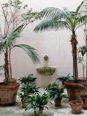 Property grounds - BELLINISTAY - Apartment in the city center, 2 steps from the sea. (Trapani)