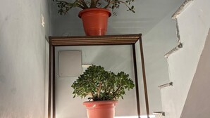 A staircase with two potted plants on a small table at the landing. - Tranquil Trails Naddi SunRise  (Dharamshala)