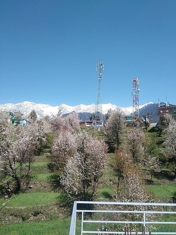 Unclassified image, 1 of 13, button