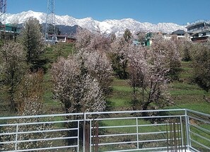 Property grounds - Tranquil Trails Naddi SunRise  (Dharamshala)
