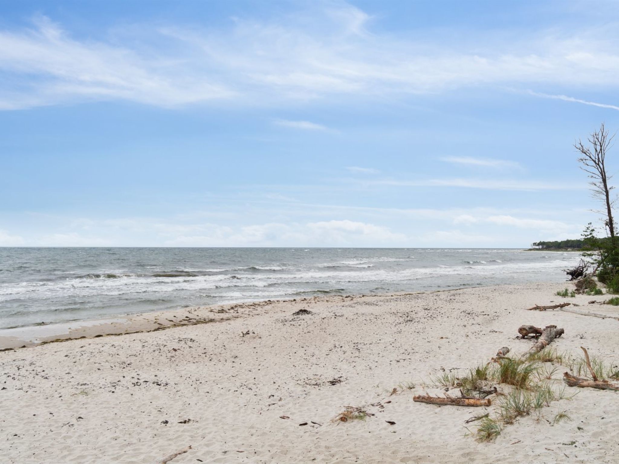 A beach with sandy shore, ocean waves, and sparse vegetation.
