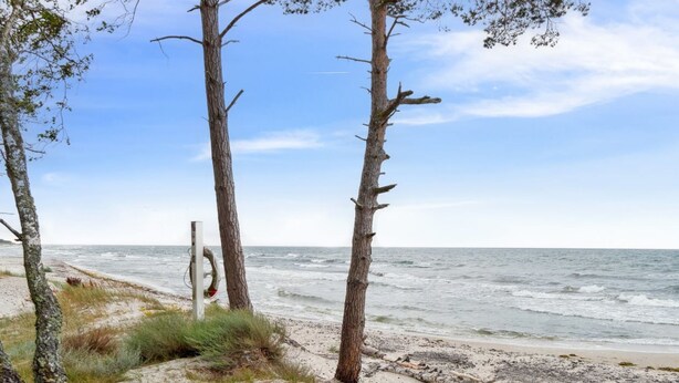 A beach with trees and a white sign near the water.