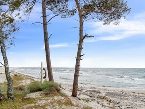 Une plage bordée d’arbres et un panneau blanc près de l’eau.