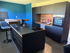 Fridge, oven, stovetop, dishwasher - The new house (Elbeuf-sur-Andelle)