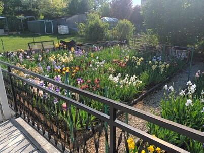 Rental house 6 persons near Chablis. Breakfast included