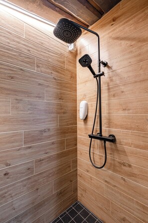 Shower, towels, toilet paper