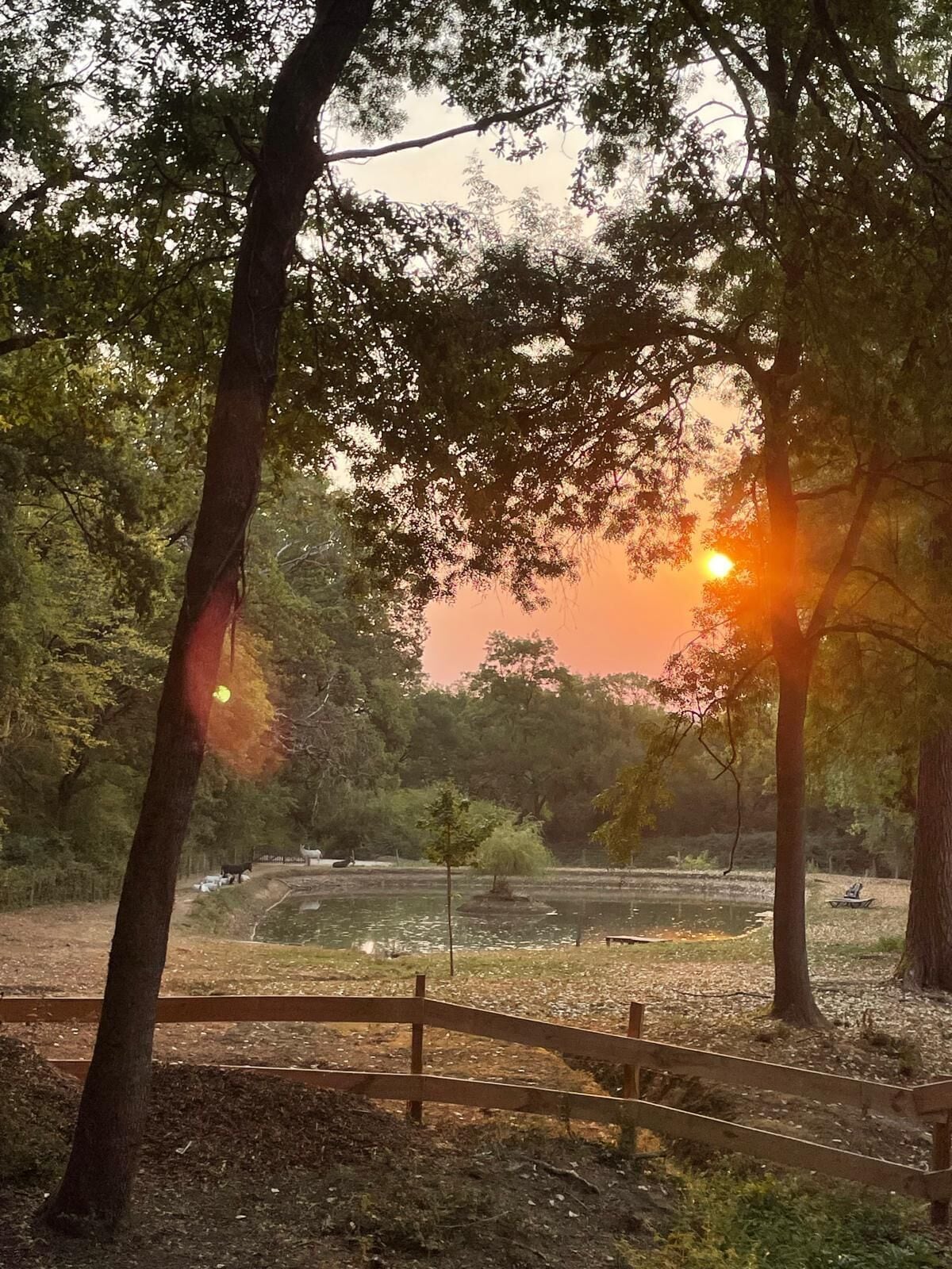 A park with a wooden fence, trees, and a body of water.