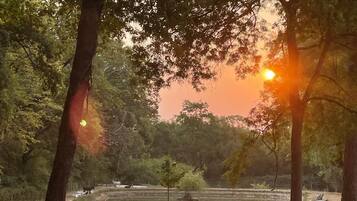 A park with a wooden fence, trees, and a body of water.