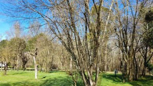 Un parc avec différentes espèces d’arbres, un sentier de terre et une zone herbeuse.