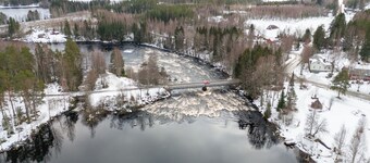 Koskisviitti 1