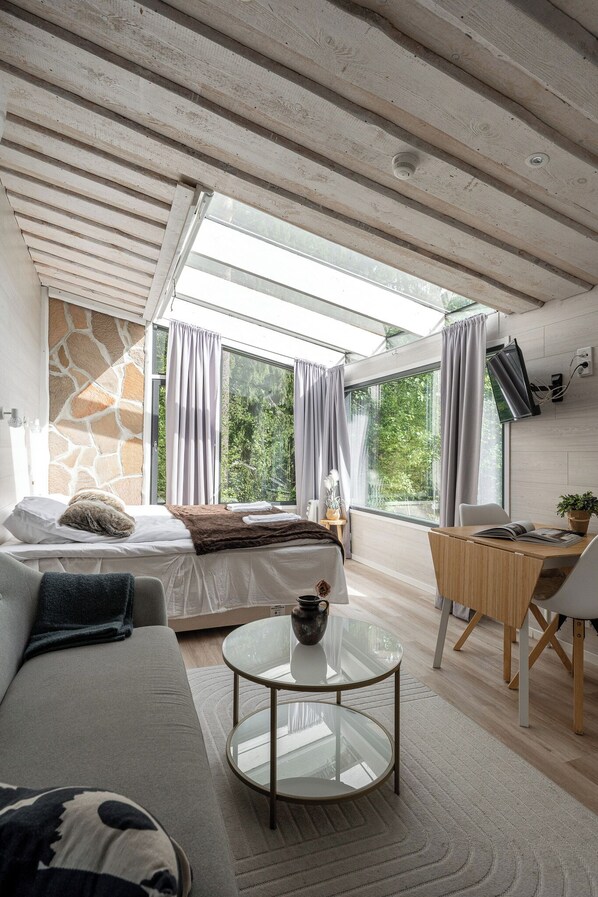 Superior Studio, Lake View | Living area