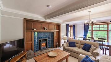Smart TV, fireplace, DVD player, books