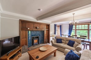 Smart TV, chimenea, reproductor de DVD, libros