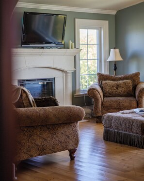 TV, fireplace, books