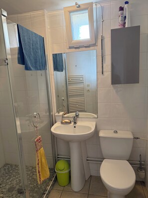 A bathroom with a glass shower enclosure, a sink, a toilet, a mirror, and a small window. - Country gite, Pets not allowed (Geay)
