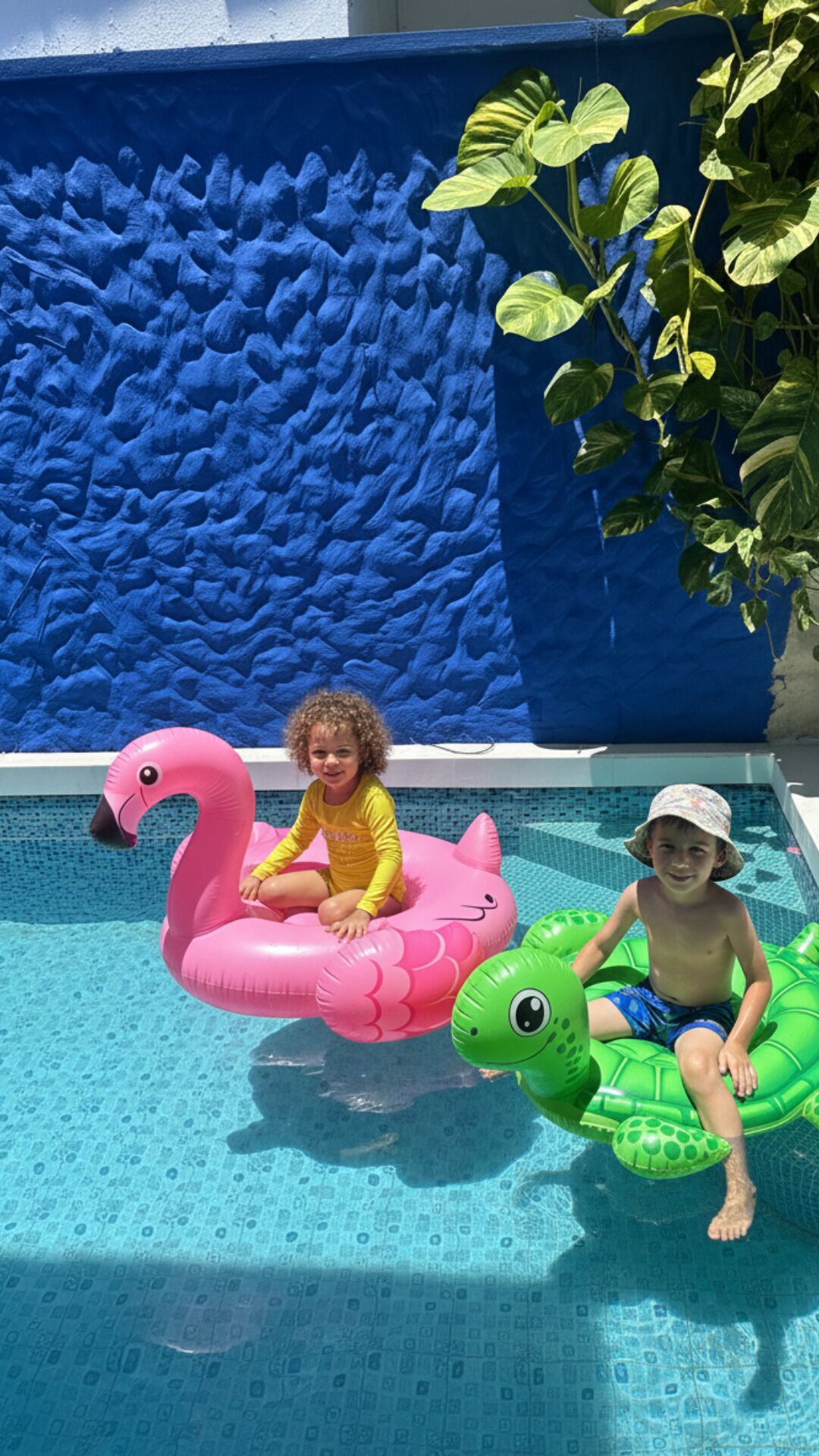 พื้นที่บาร์บีคิว/ปิกนิก