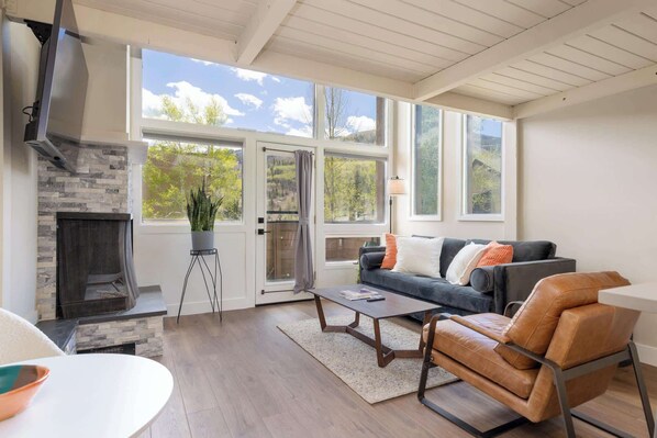 Televisión y chimenea