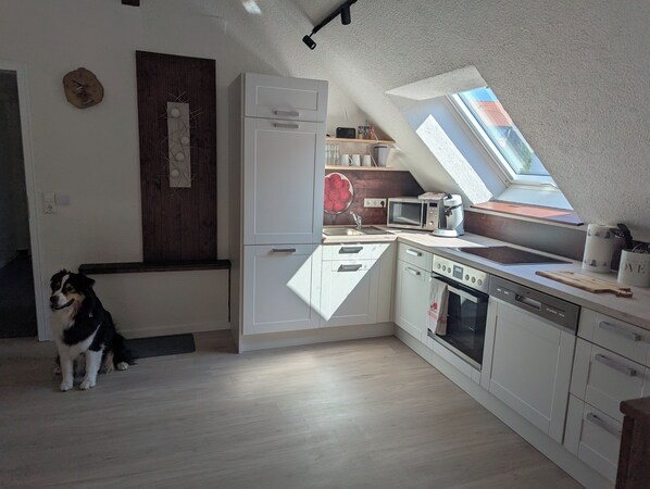 Fridge, microwave, stovetop, dishwasher