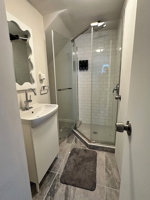 Shower, towels, soap, toilet paper - Newly renovated luxurious and private, 3-bedroom 2 bath West Side Oasis! (Buffalo)