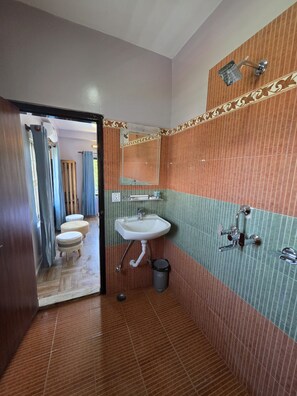 Deluxe Single Room, Mountain View | Bathroom | Shower, hair dryer, towels, soap