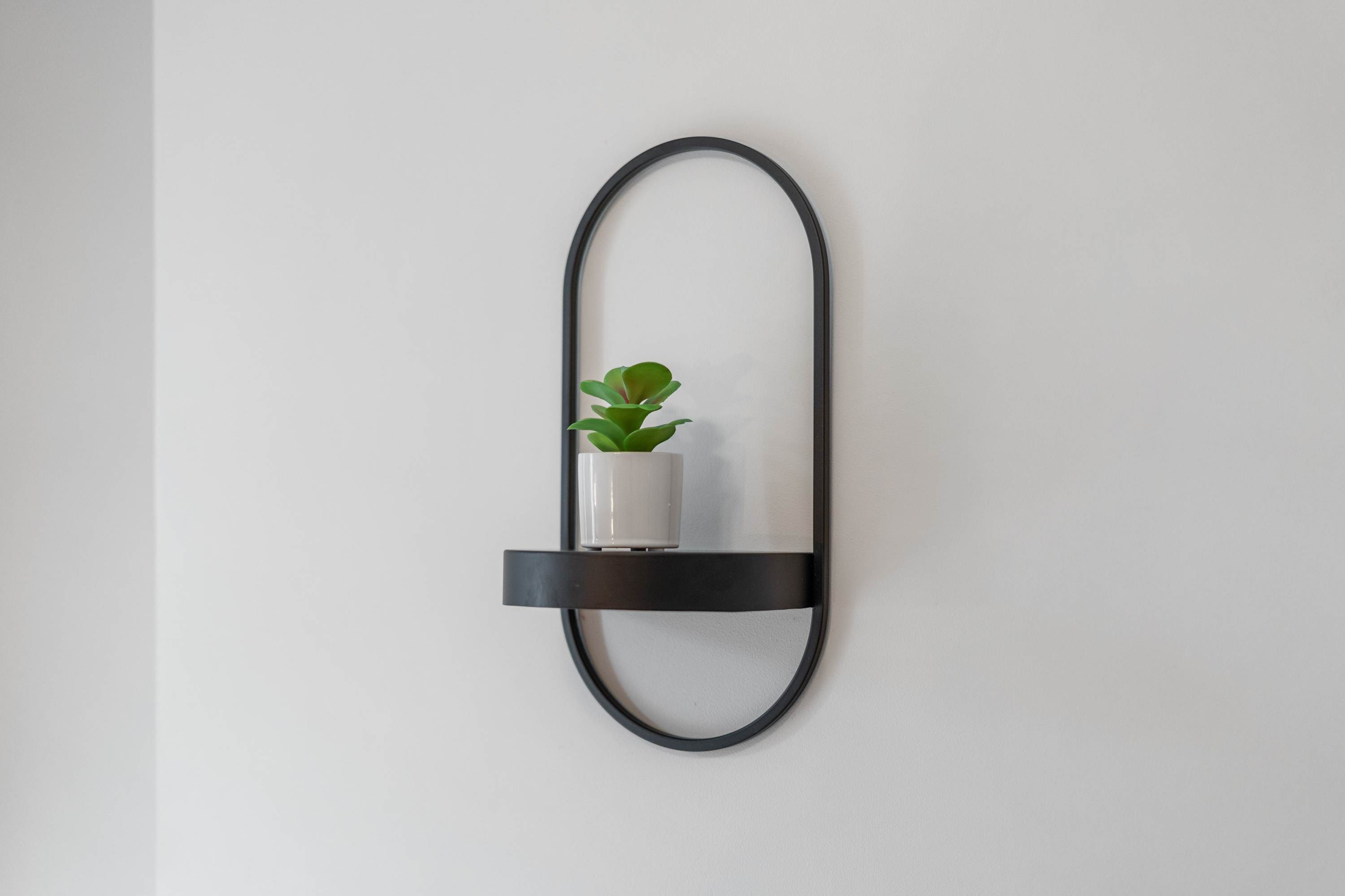 A minimalist wall-mounted shelf with a potted plant.
