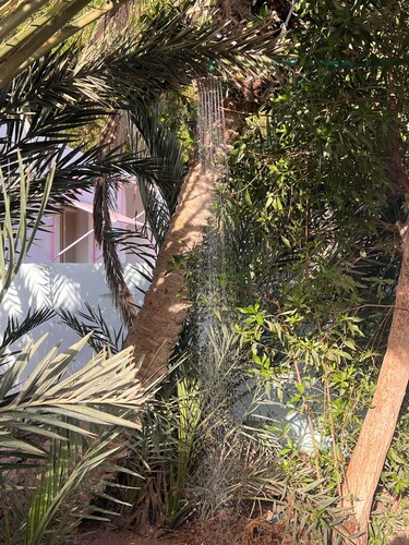 Vintage Valley - your home seconds from the beach