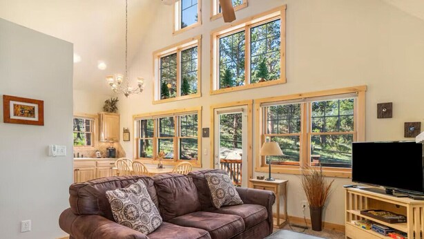 TV, fireplace, video games, stereo - Mountain & Wildlife Views & Hot Tub Access (Estes Park)