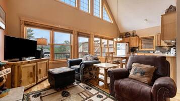 Télévision, cheminée, chaßne hi-fi