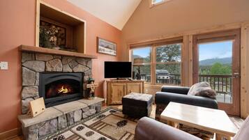 Télévision, cheminée, chaßne hi-fi