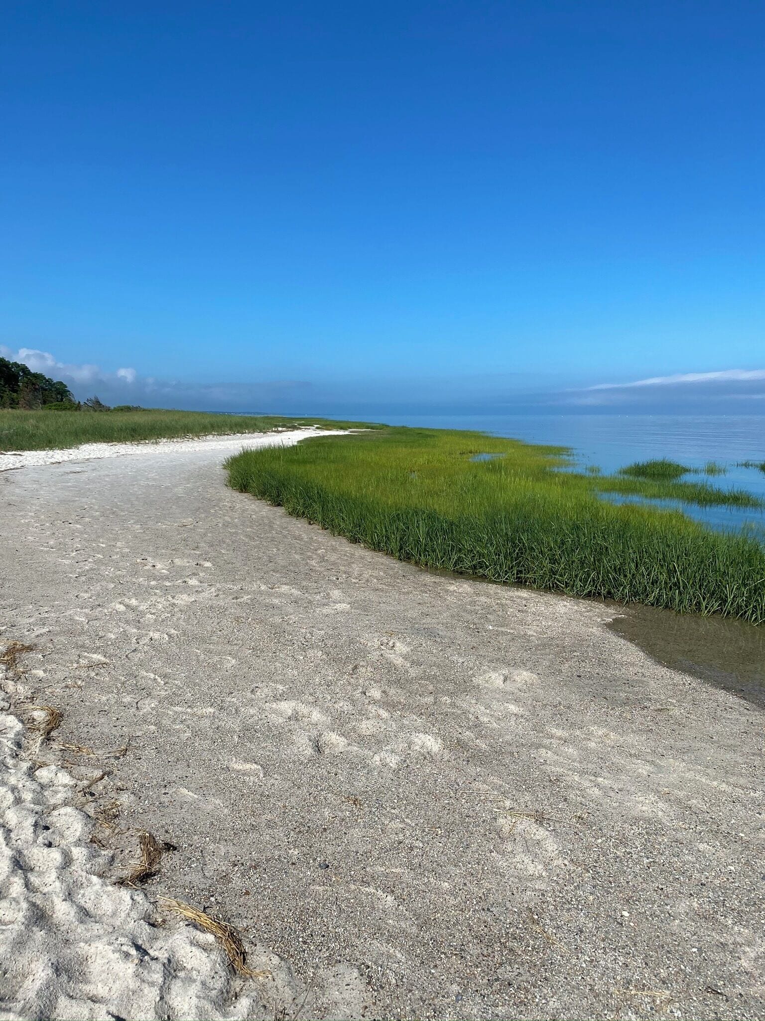 Camastros y toallas de playa 