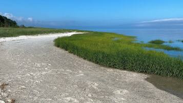 Camastros y toallas de playa