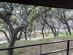 Terrain de l’hébergement 