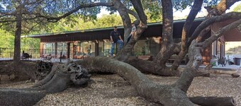 Two six-bedroom Guest Houses with shared kitchen