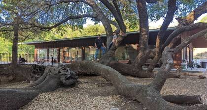 Two six-bedroom Guest Houses with shared kitchen
