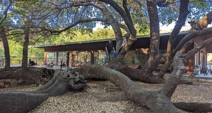 Legacy Ranch-Family Reunion Facility. Four Guest Houses, Recreation Center, & Swimming Pool