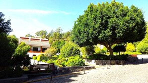 Un camino adoquinado que lleva a un edificio con tejado de baldosas y un gran árbol en primer plano.