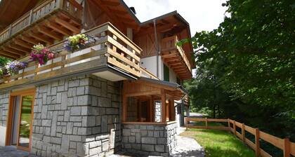 Villa Brenta Apartment MhD