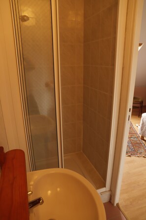 Shower, hair dryer, towels, soap - Country home in the heart of France, 20 minutes away from Sancerre (Assigny)