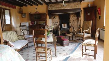 Télévision, cheminée, lecteur de DVD, livres