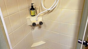A shower with a handheld showerhead, a soap dispenser, and a small shelf. - Edith - Glamping in Springs Country. Walk to downtown High Springs! (High Springs)