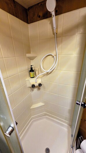 Chuveiro, secador de cabelo, toalhas de banho, sabonete